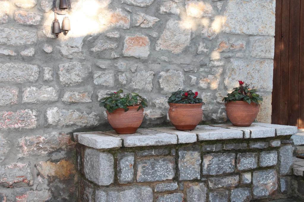 Guesthouse Karahalios Polydrossos Exteriér fotografie